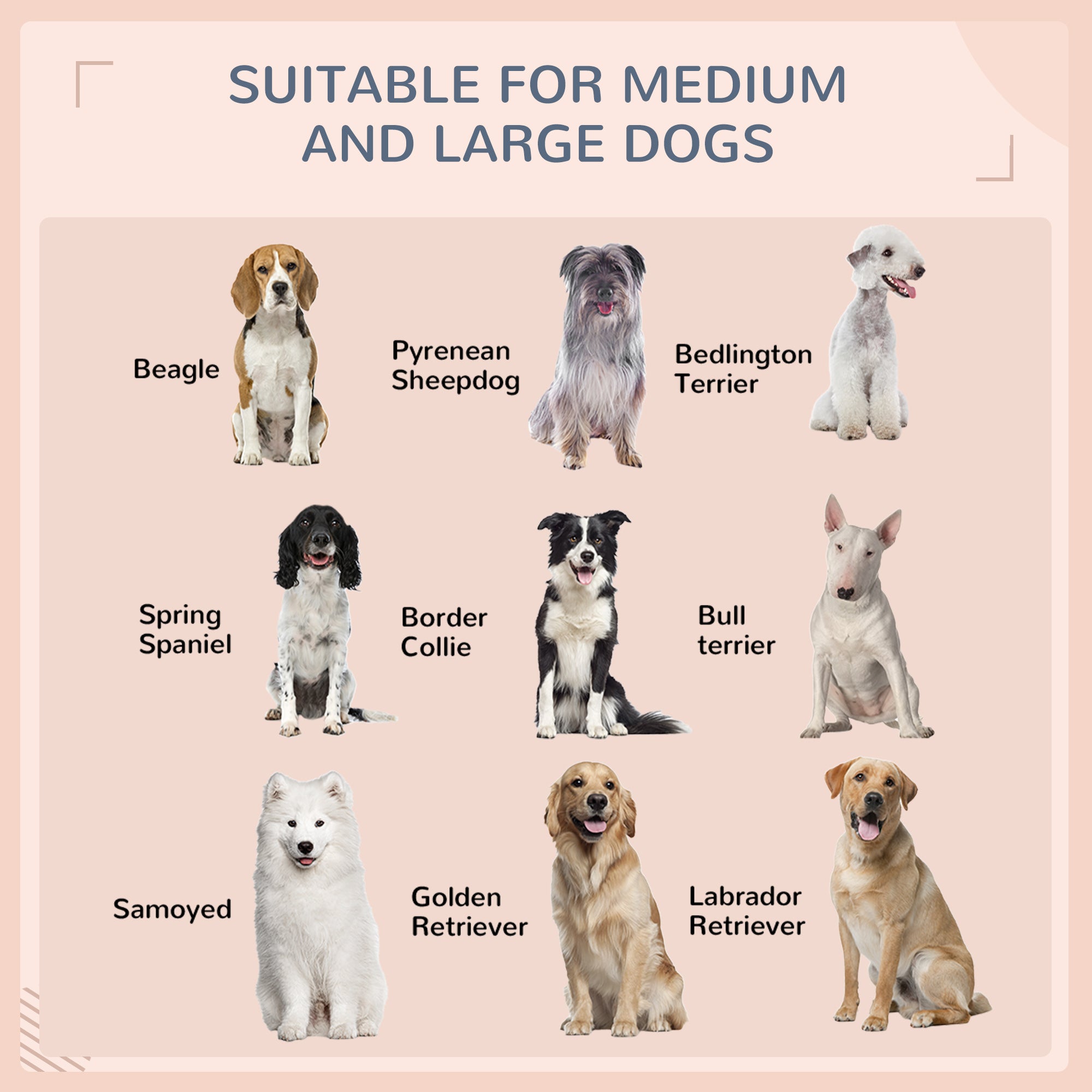 Outdoor Rattan Dog Bed with Canopy, Soft Cushion for Large Dogs, Cream White